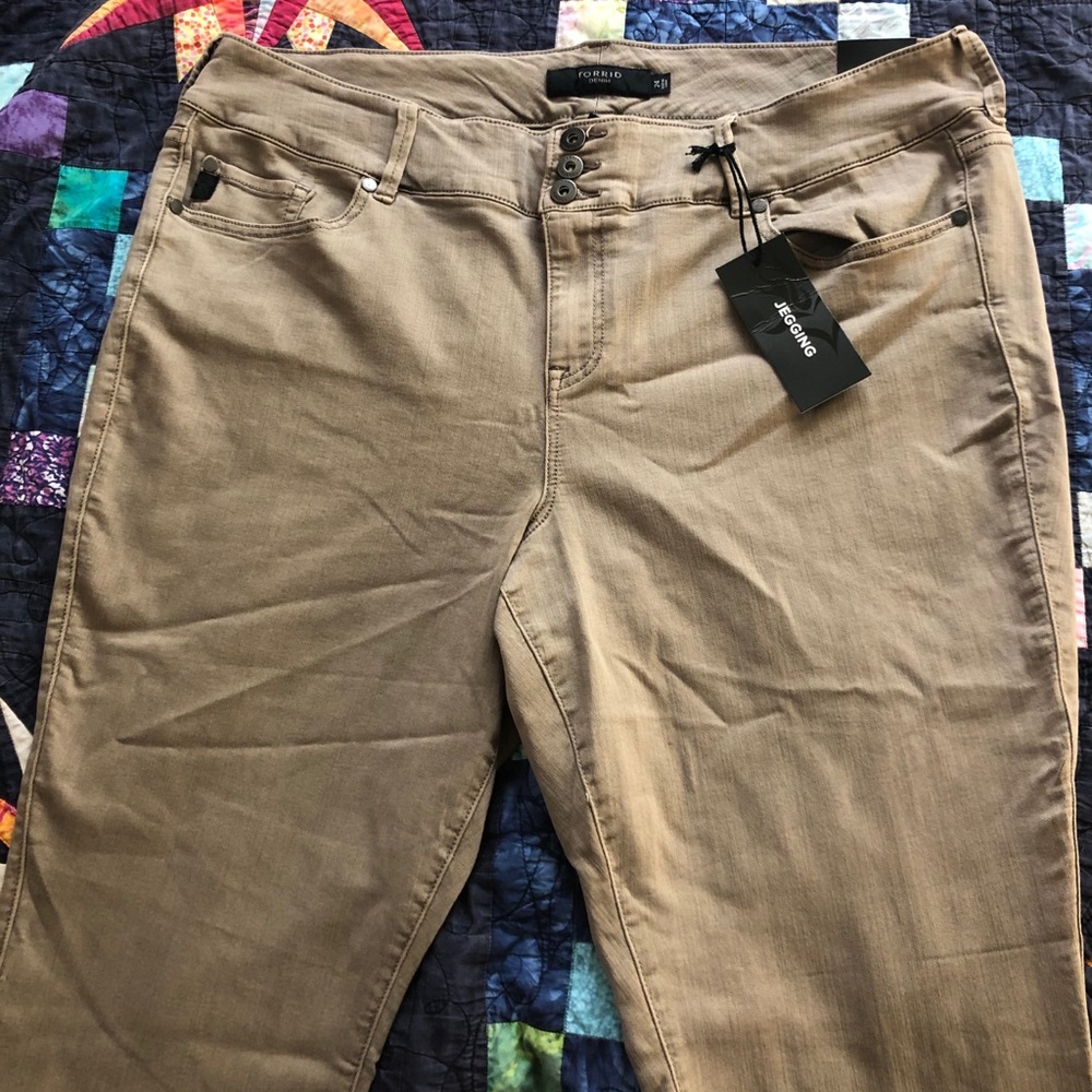 Torrid Jegging Pants Size 24